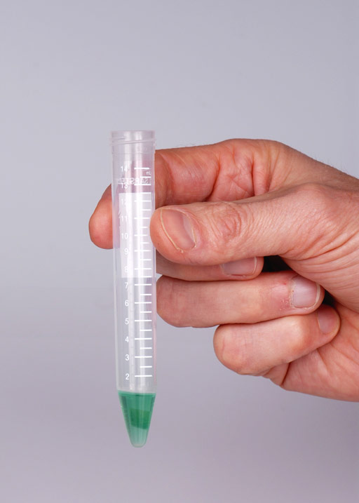 Green solution for the Heavy Metal Urine Test