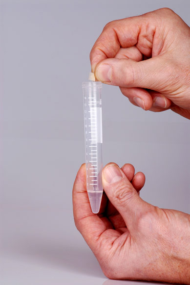 Test Paper for the Heavy Metal Urine Test