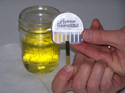 urine pH for the Heavy Metal Urine Test
